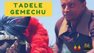 ETHIOPIA: Tadele Gemechu - BarriHindarba [Ethiopian  2017]