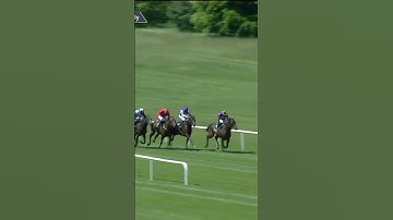 Gstaad vs True Love - the rematch in Saturday