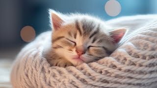 EXTREMELY Soothing Cat Therapy Music  Relax Your Cat! Cat Music