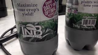Mr FrogManDude with TNB Naturals The Enhancer