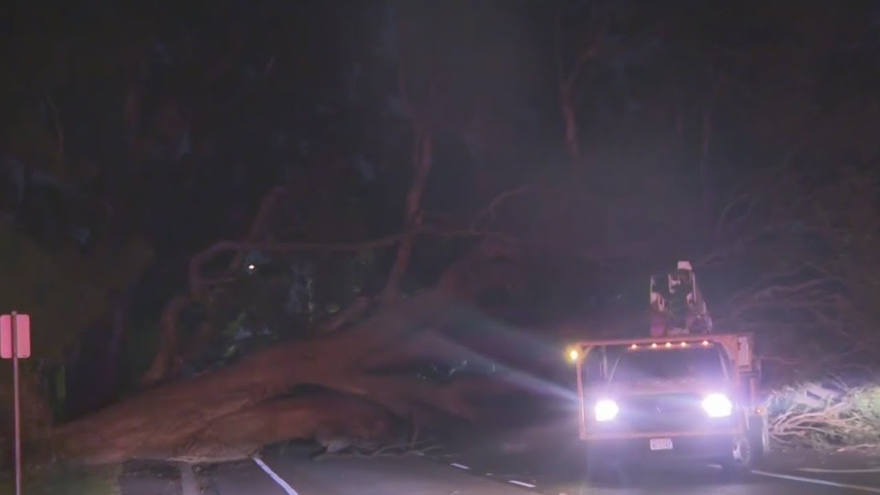 High winds from storm wreak havoc across Bay Area - YouTube