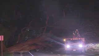 High winds from storm wreak havoc across Bay Area