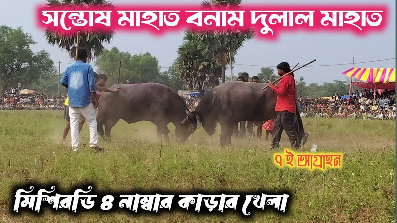 মিশিরডি ৪ নাম্বার কাড়ার খেলা।। সন্তোষ মাহাত মিশিরডি 