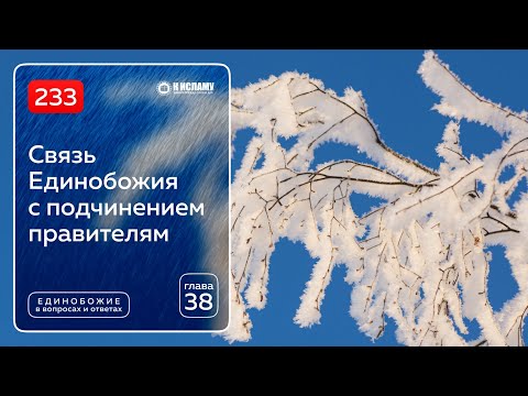 Глава 38. Вопрос 233. Связь Единобожия с подчинением правителям. Ринат Абу Мухаммад