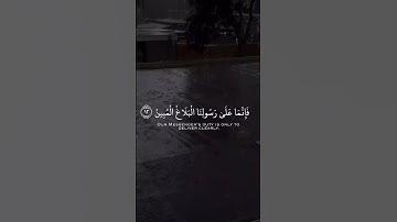 القارئ رعد الكردي 🎧❤ | آيات من القرآن الكريم | حالات واتساب دينيه