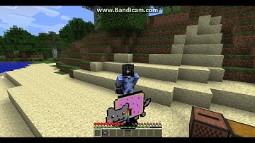 Nyan Cat Mod Review 1.4.5