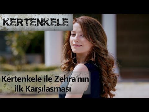 Kertenkele ile Zehra'nın ilk karşılaşması - Kertenkele