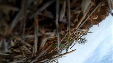 OmrFpv-Training accident//Turtle mode test(Flip Over After Crash)