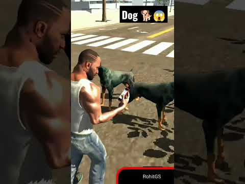 Dog cheat code🤑||Indian