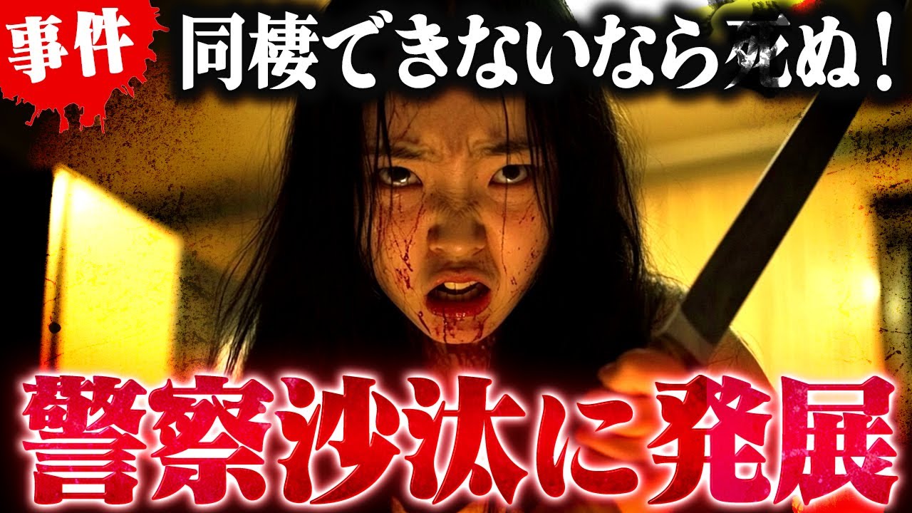 【恐怖】私と同棲しないなら●んでやる！金持ちのふりをして有名YouTuberをダマし命ネタする子持ちメンヘラ女　#コレコレ切り抜き