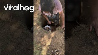 Sherman Doesn&#39;t Want to Be Saved || ViralHog