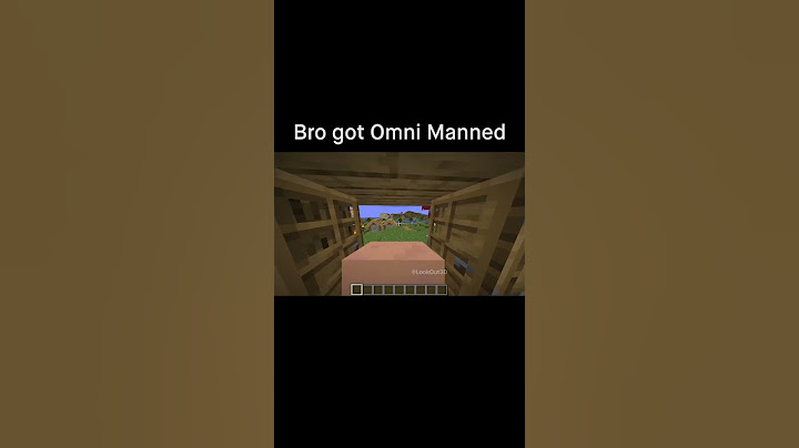 Minecraft Meme