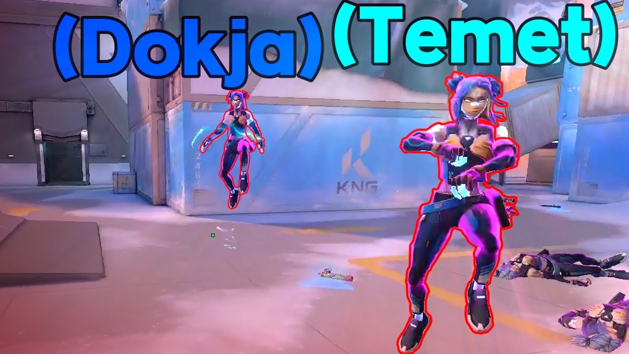 전설의 레전드, 테멧을 만났다