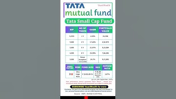TATA Small Cap Fund to invest in 2025 | Highest CAGR in 3Y, 5Y #investment #mutualfund #stockmarket