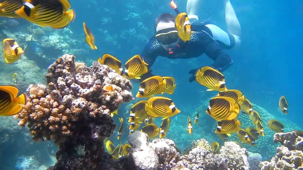 2016.06.18. • Marsa Alam • The Three Corners Happy Life • Nikon AW110