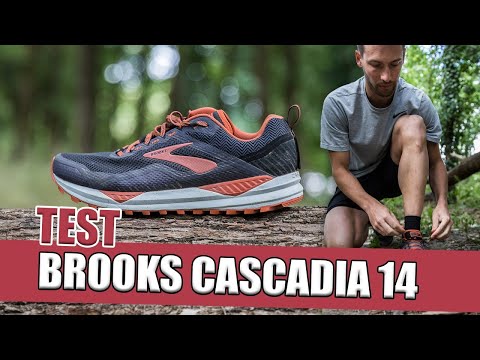 brooks cascadia 10 gold