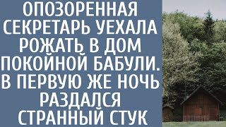 Опозоренная секретарша уехала рожать в дом покойной бабушки… В первую же ночь раздался странный стук