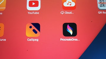 Callipeg or Procreate Dreams -which one would I use as 2D animation app for iPad?