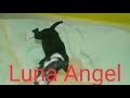 Doll playingluna angel  please subscribe  help me 