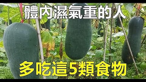保健：体内湿气重的人，多吃5种食物，排除体内毒素，祛湿效果看得见 -  养生之道 - 天天要闻