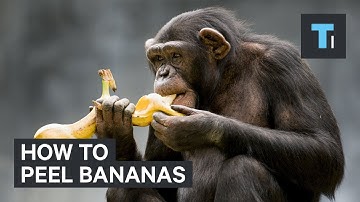 How to peel bananas