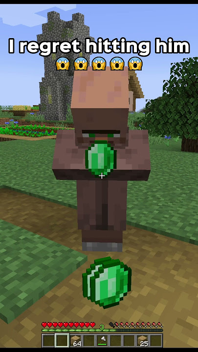 I'm sorry broo  #minecraft #shorts