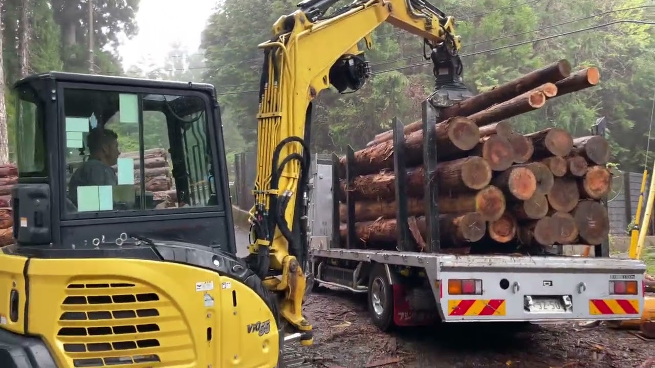 Cargando el camión con madera abril 4/23