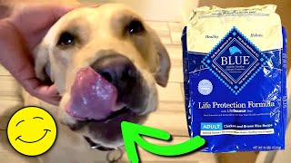 Blue Buffalo Dog Food Review - Best Dog Food