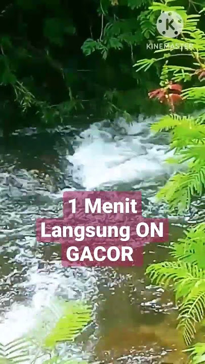1 Menit Suara Air Terapi Burung, Langsung ON GACOR