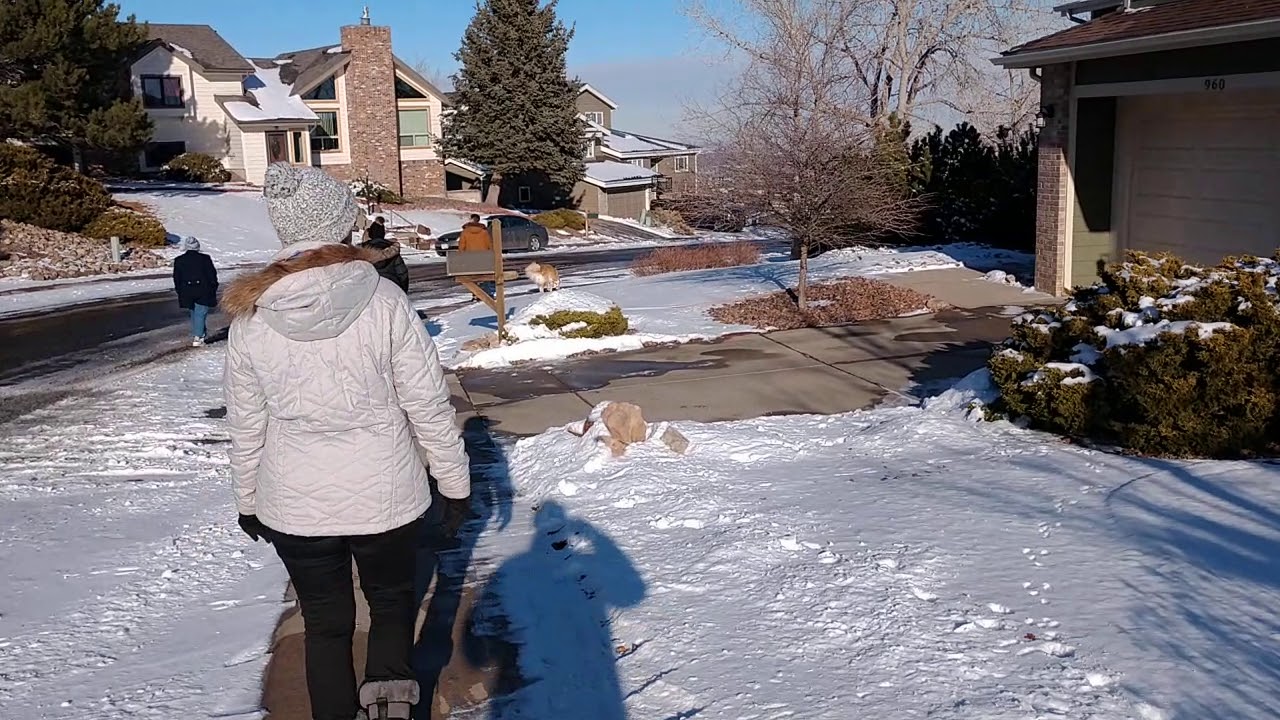 Lakewood Colorado Snow VID 20191229 143108151 YouTube