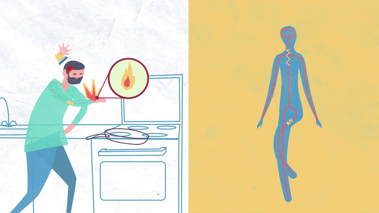 DES MOTS DERRIERE NOS MAUX -  La syringomyélie