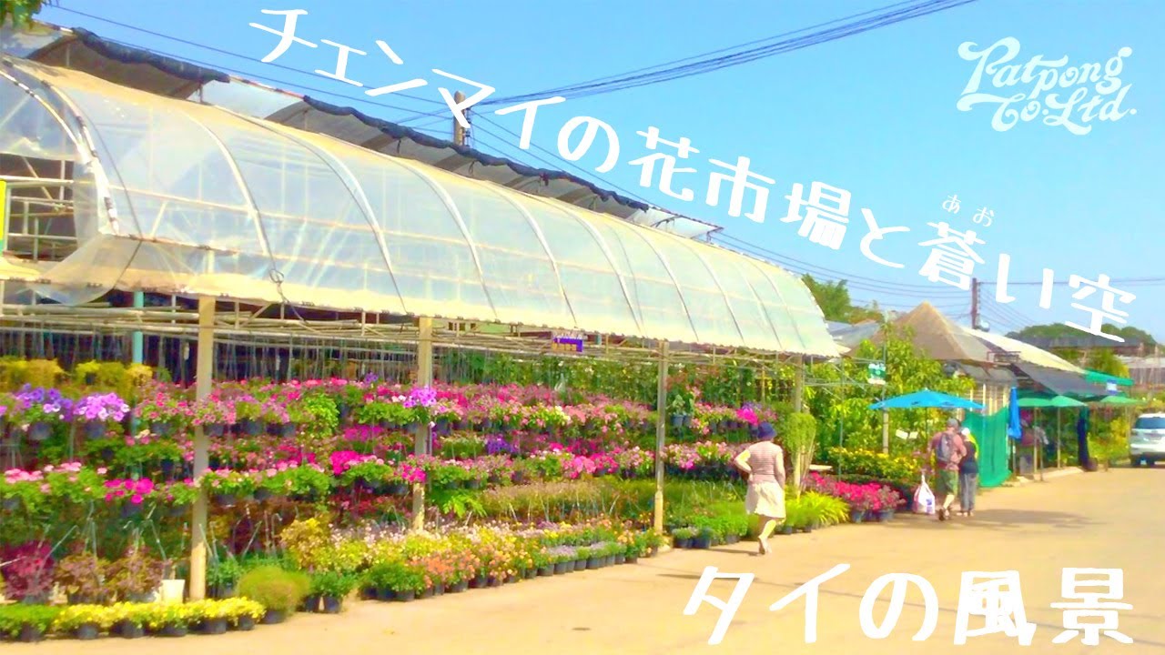 タイ料理プロが公開 チェンマイの花市場 タイの風景 All I Ve Ever Felt All At Once A Quiet Thought Meditation Impromptu03 Youtube タイ料理プロが公開 チェンマイの花市場 タイの風景 All I Ve Ever Felt All At Once A Quiet Thought Meditation Impromptu03 Youtube