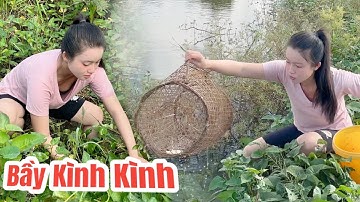 Sáng Ra Thăm lọp Cua Đồng Thu Nhập Kha Khá Về Hấp Nước Dừa Béo Ngậy