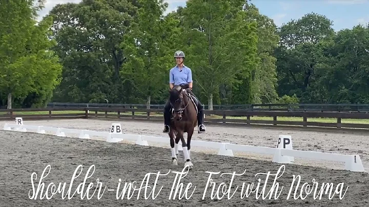 Shoulder in At The Trot with Norma