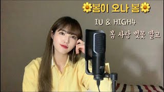 IU (아이유) & HIGH4 (하이포) - 봄 사랑 벚꽃 말고 [Cover by YELO]