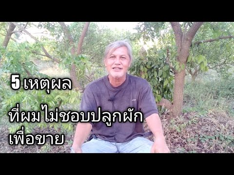 วีดีโอ: เหตุใดการไถจึงเป็นขั้นตอนสำคัญในการผลิตพืชผล