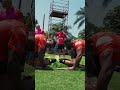 Putting in the work 🦈
