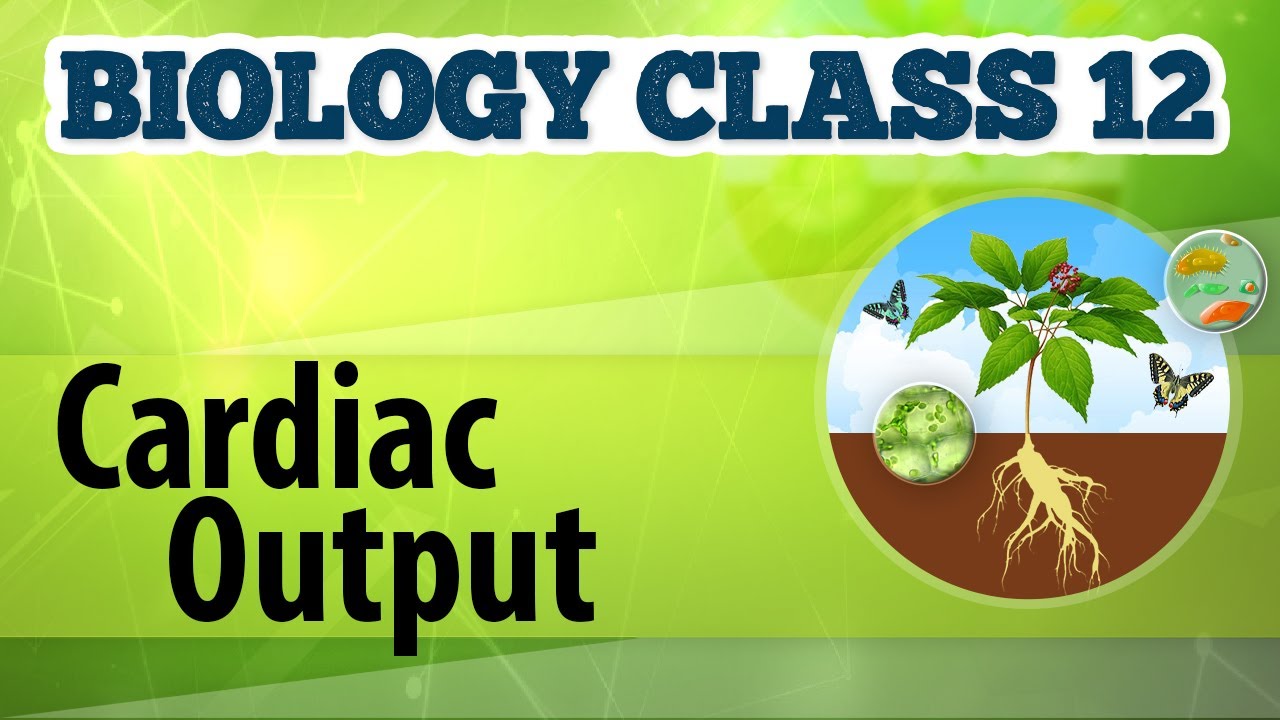 Биология видео 11 класс. Bio class. Biology class. Bilogiy Classroom logo.
