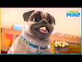 Lights camerainaction  mighty mike  45 compilation  cartoon for kids