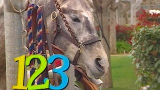 Counting Song Number 5 Horses | Learn Numbers Kids Songs | From Baby Genius