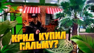 ЕГОР КРИД КУПИЛ ПАЛЬМУ / ИРЛ СТРИМ ЕГОРА КРИДА