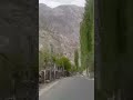 #plantation #Ganchey #Gilgit #hindisong #love #music #shorts #wildlife #road #trip