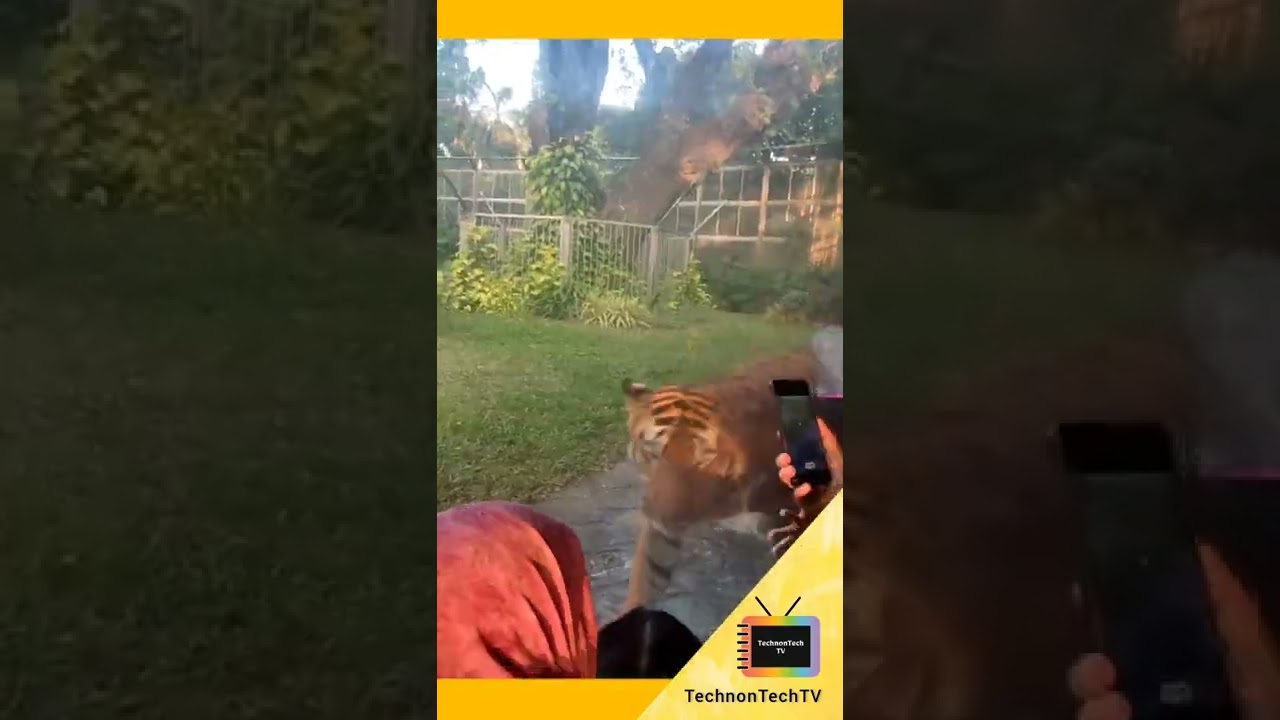 Mumbai Zoo Rani Bagh | Mumbai Byculla Zoo 