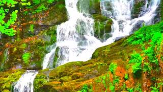 Cascading Slumber: Drift Away with the Tranquil Waterfall