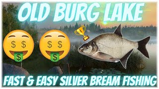 EASY SILVER BREAM FISHING