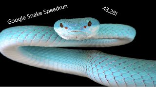 GSG(Google Snake Game) Speedrun Classic 25 Apples 43.28