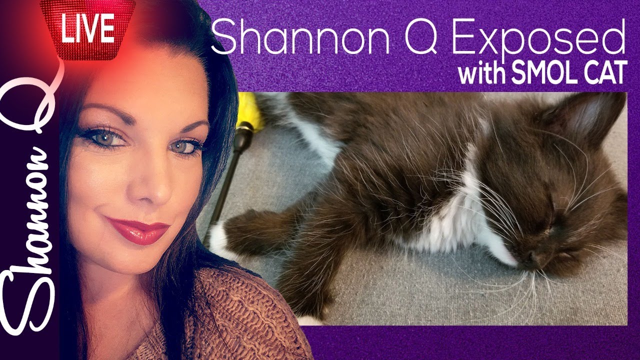Shannon Q EXPOSED!!!!! (Now featuring Smol cat that is smol) YouTube