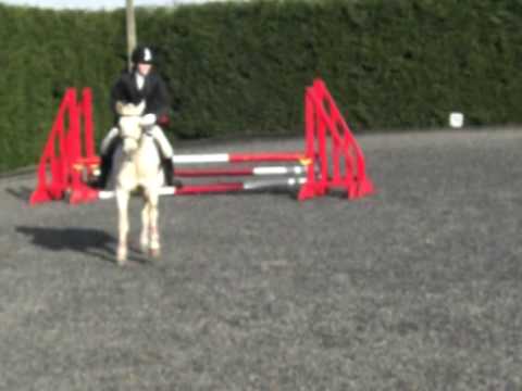 Katherine Dawson Mote End Combined Training SJ
