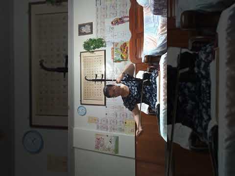 20200822~漂浪之女bB調~洪菀花(血紫檀)二胡演奏