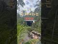 발리 우붓에서 꼭 해야하는 10가지 10 things to do in Bali Ubud #발리여행 #발리 #우붓